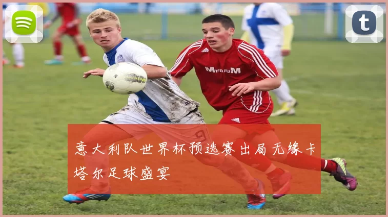 意大利队世界杯预选赛出局无缘卡塔尔足球盛宴