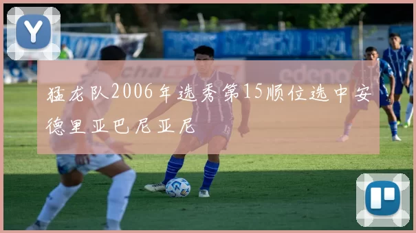 猛龙队2006年选秀第15顺位选中安德里亚巴尼亚尼